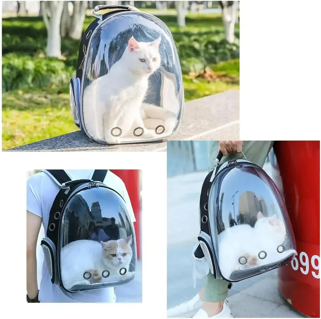 Secure car pet carrier bag with safety straps for dogs & cats, ideal for safe vehicle travel.