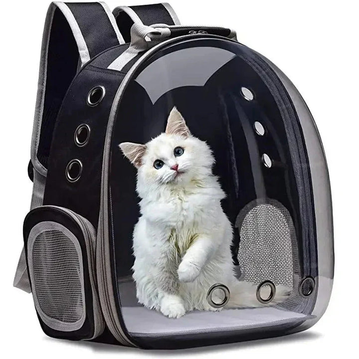 Durable car pet carrier for outdoor adventures, comfortable & secure for small dogs & cats.