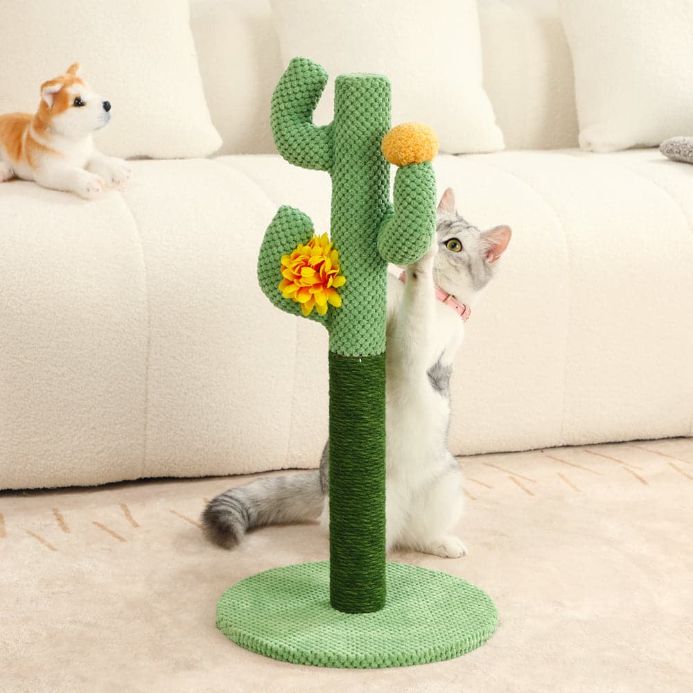 Cute cactus cat scratcher with natural sisal, perfect for claw care & playtime for kittens.