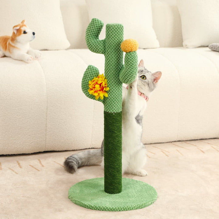 Cute cactus cat scratcher with natural sisal, perfect for claw care & playtime for kittens.