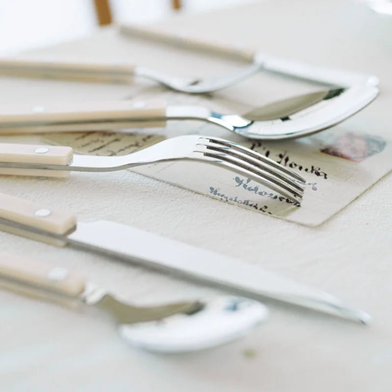 Durable 24-piece stainless steel cutlery for daily use & special occasions. Western dining set.