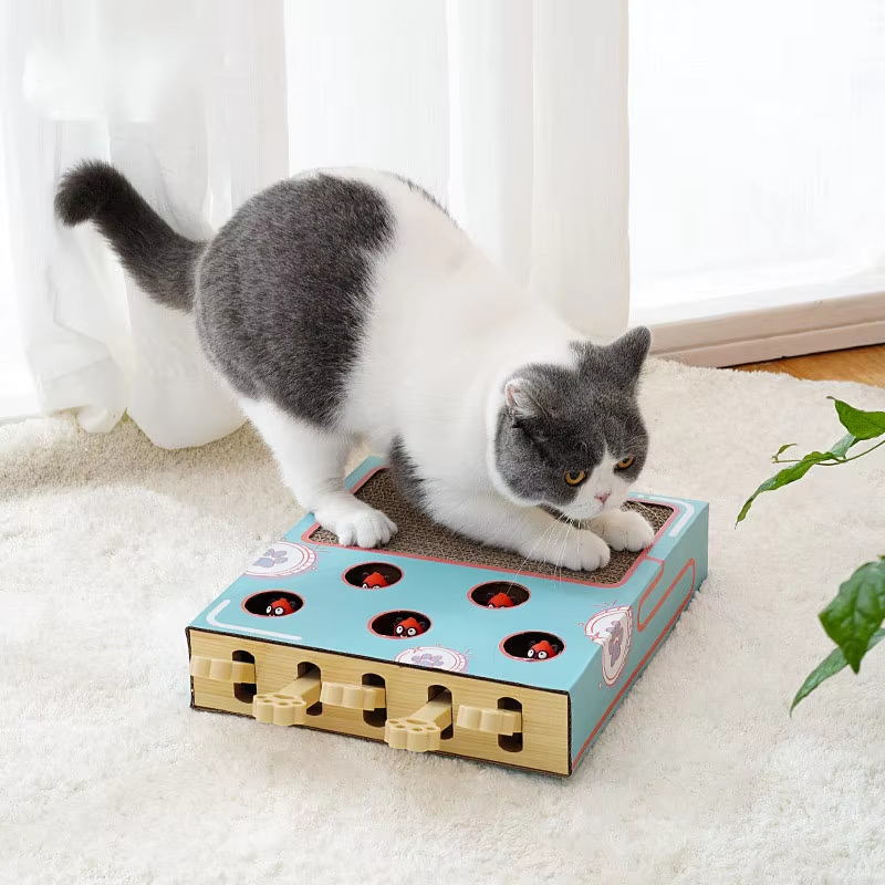 Unisex 3-in-1 Interactive Cat Playground & Scratcher