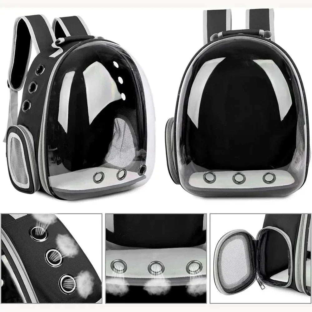 Ventilated pet travel carrier for stress-free car trips to the vet for small dogs & cats.