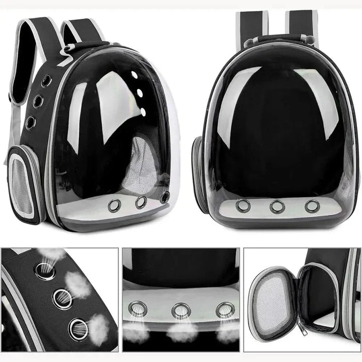 Ventilated pet travel carrier for stress-free car trips to the vet for small dogs & cats.