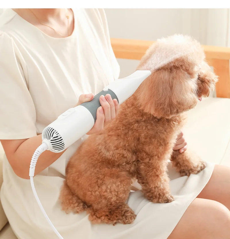 3-in-1 pet hair dryer and grooming brush for dogs, quickly drying and detangling fur with ease.