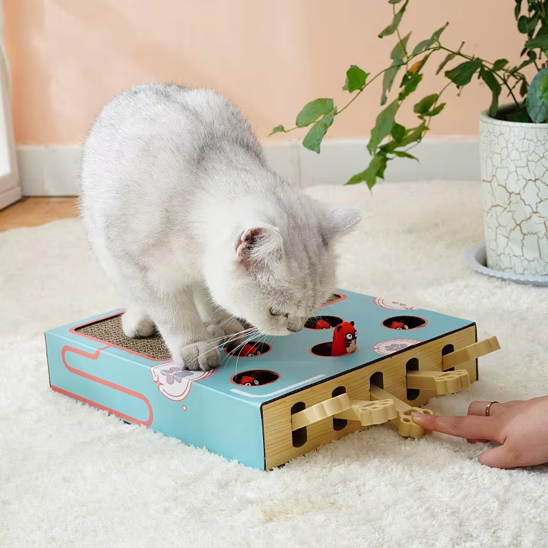 Unisex 3-in-1 Interactive Cat Playground & Scratcher