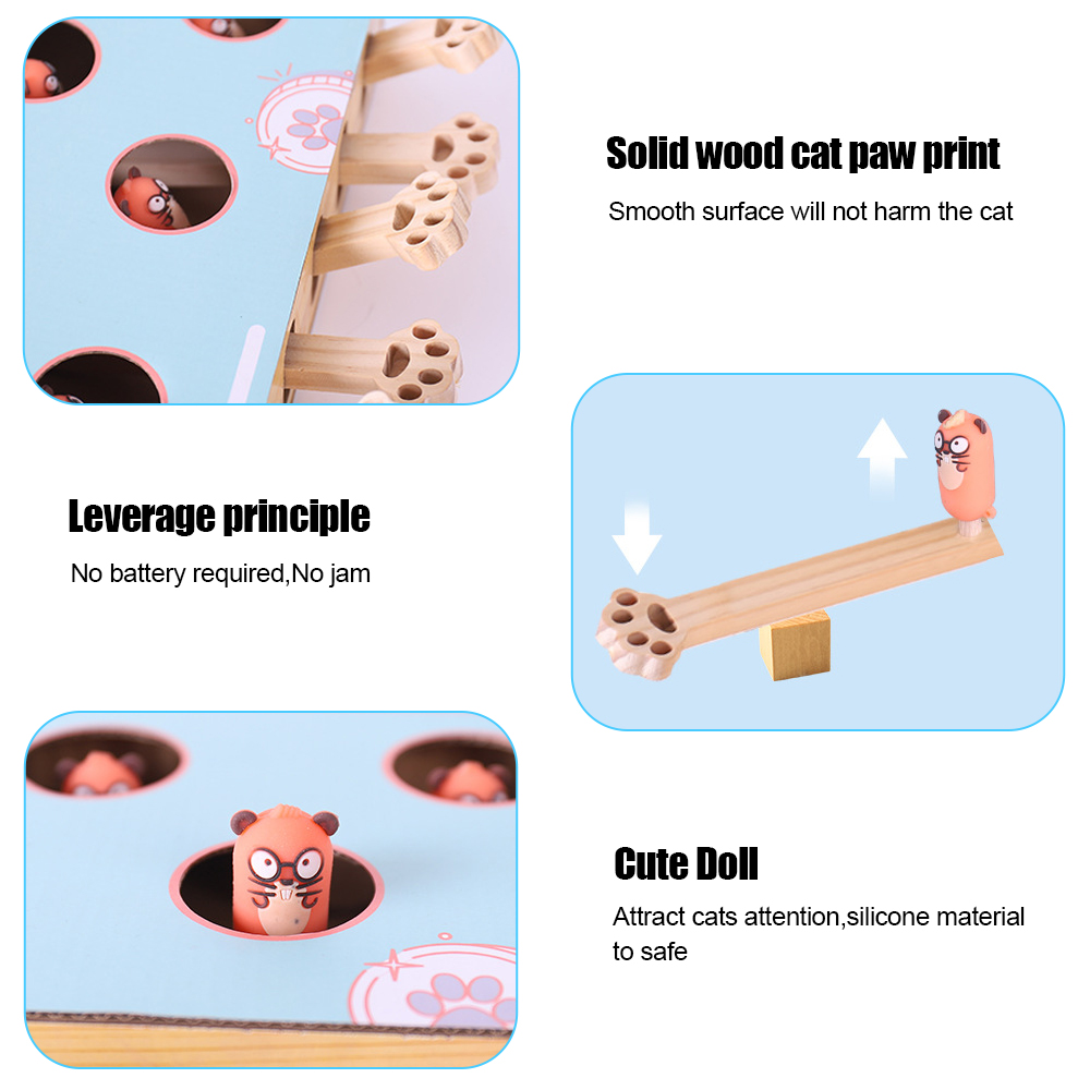 Unisex 3-in-1 Interactive Cat Playground & Scratcher