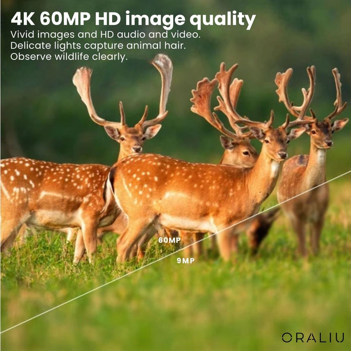 Unboxed 4K Ultra HD wildlife camera with 60MP & accessories, ready for immediate outdoor setup.