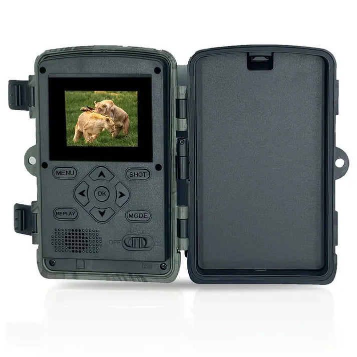 Night vision view from a 60MP wildlife camera, clearly showing an animal in the dark via motion detection.