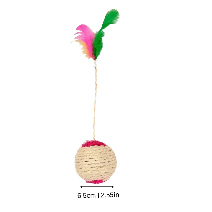 Multi-pack feather & sisal cat toys for active feline play. Encourages scratching & protects furniture. Great for kittens.