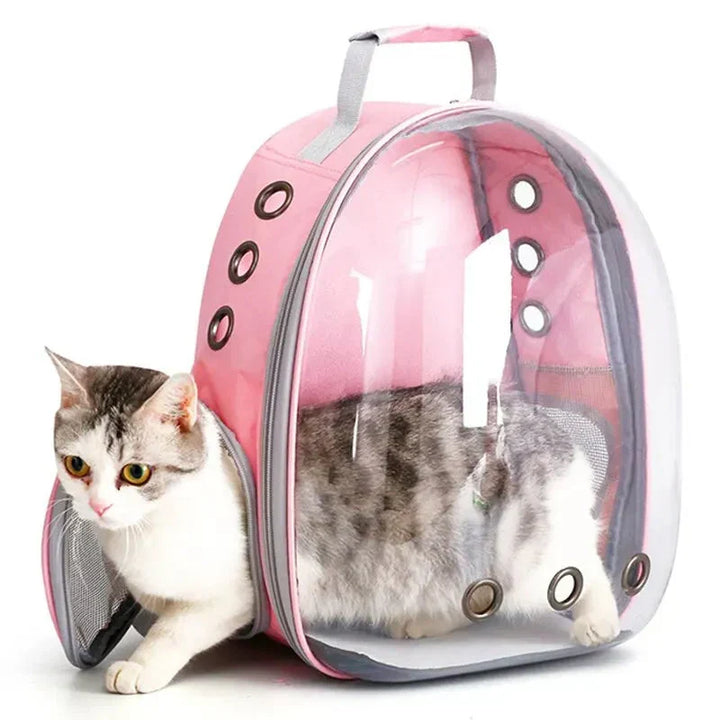 Secure pet travel carrier for car trips, comfortable & ventilated for small dogs or cats.