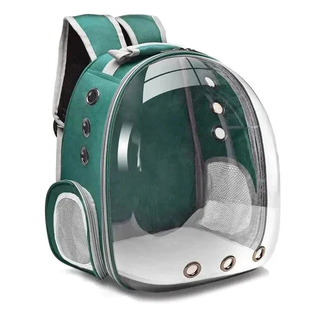 Comfortable & secure pet carrier bag for car travel, perfect for small dogs, cats, vet visits.