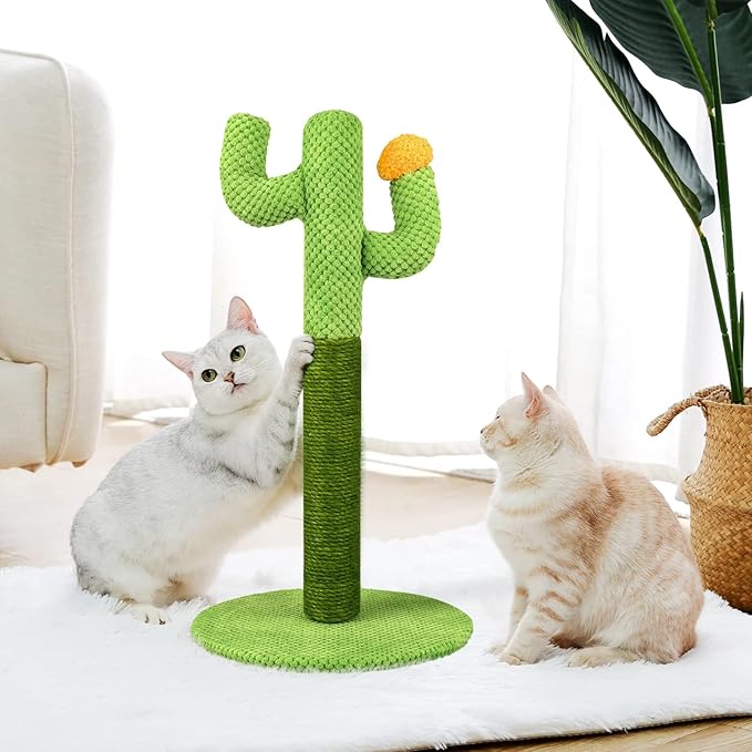 Unique cactus design cat scratcher; a sisal post and fun toy for your cat's claw health.