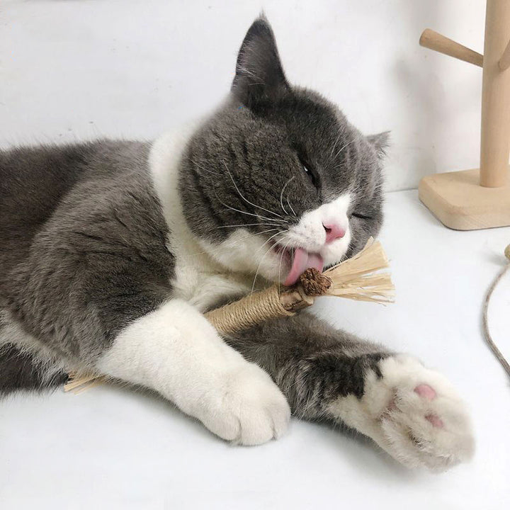 Cats' Natural Silvervine Dental Chew Sticks - 5-Pack