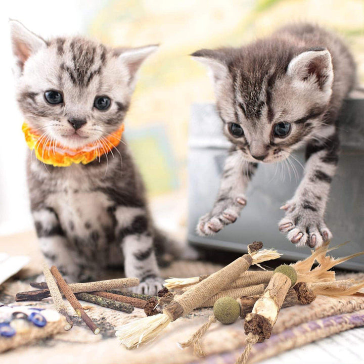 Cats' Natural Silvervine Dental Chew Sticks - 5-Pack