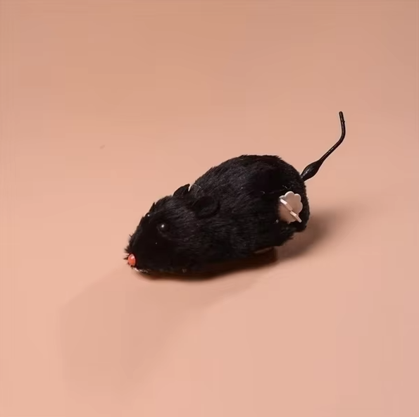 Unisex interactive electric mouse cat toy, an automatic play companion for all cats, enhancing enrichment & active fun.