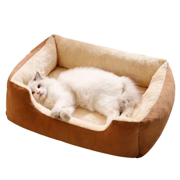 Small pet sofa bed: a soft, plush, and calming dog bed or cat bed for ultimate comfort.