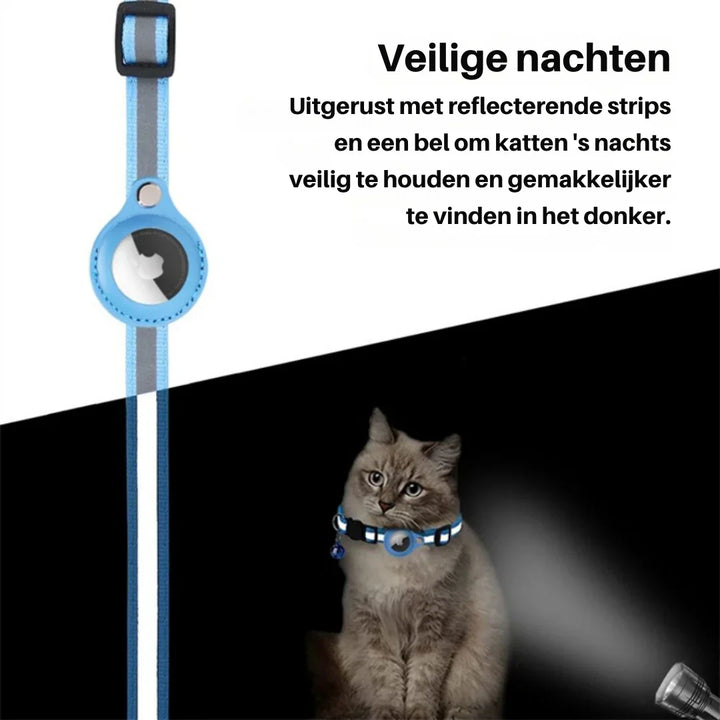 Brightly colored cat collar with safety clip and bell, an essential adjustable pet accessory.