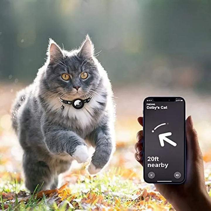 Comfortable cat collar with a secure safety release clip, perfect for daily wear.