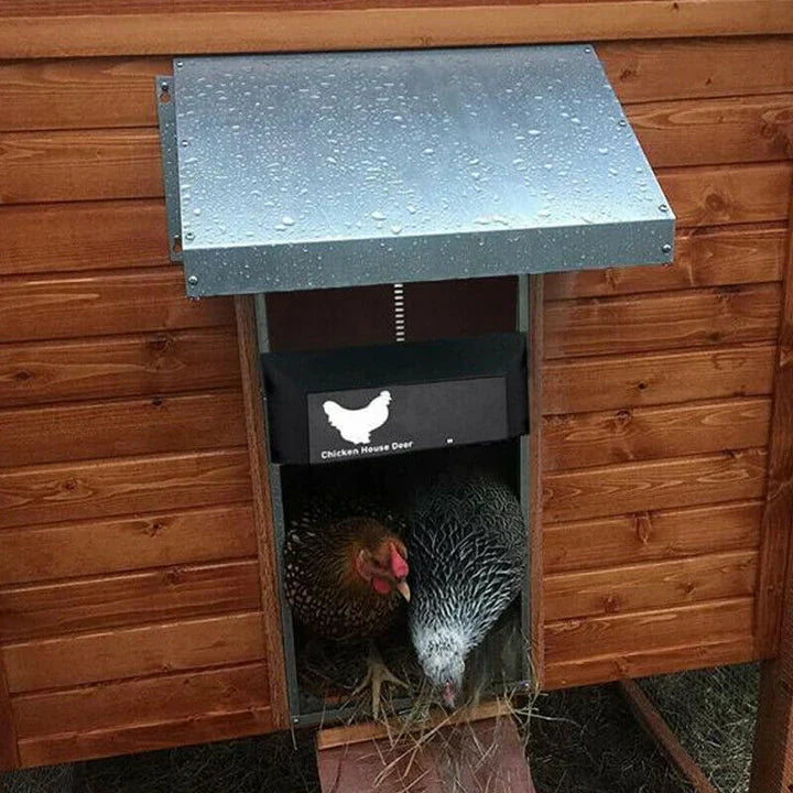 Smart automatic chicken coop door with light sensor. Ensures secure flock protection & poultry security. Weatherproof.