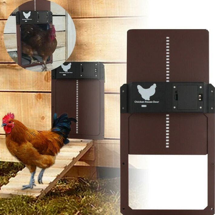Battery-backed, solar automatic chicken coop door ensures secure, hassle-free daily access for your flock.