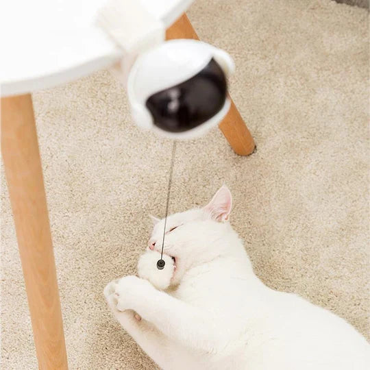 Automatic interactive cat toy for indoor cats & kittens. Promotes exercise, play, and feline fun.