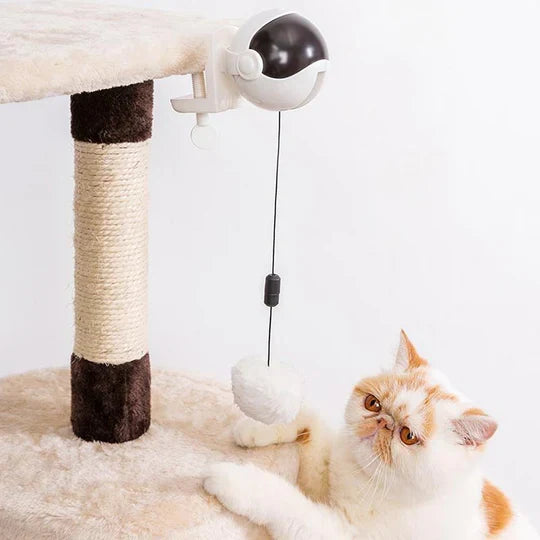 Indoor cat toy for exercise. Automatic interactive play keeps felines active, happy, and entertained. Pet supplies.
