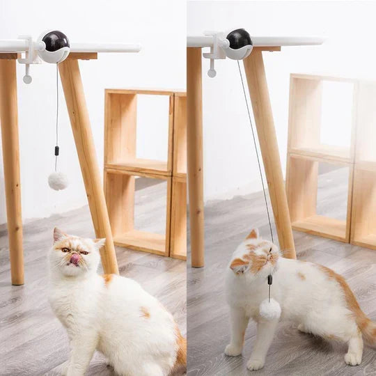 Engaging automatic interactive cat toy designed for indoor play & exercise, providing enrichment for all cats.