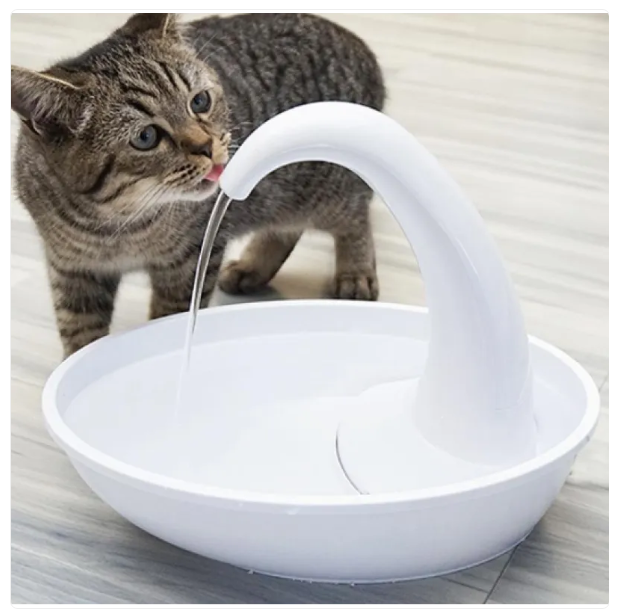 Automatic pet water fountain for cats & dogs, ensuring continuous fresh hydration. Essential pet care.