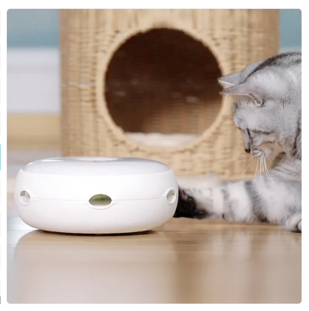 Interactive automatic cat toy featuring a fluffy rainbow feather, perfect for feline exercise & playful hunting.