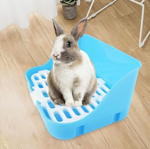 Blue Cat's Ventilated Litter Tray for superior cat hygiene. Easy clean plastic design ensures freshness & odor control.