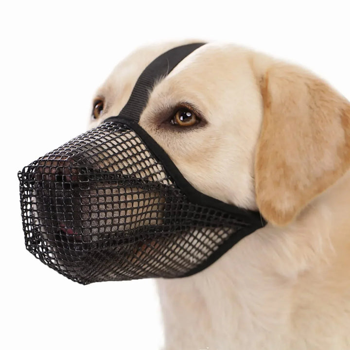 Breathable AirMesh dog muzzle for comfortable, gentle protection & training. Soft, anti-bite pet safety muzzle.