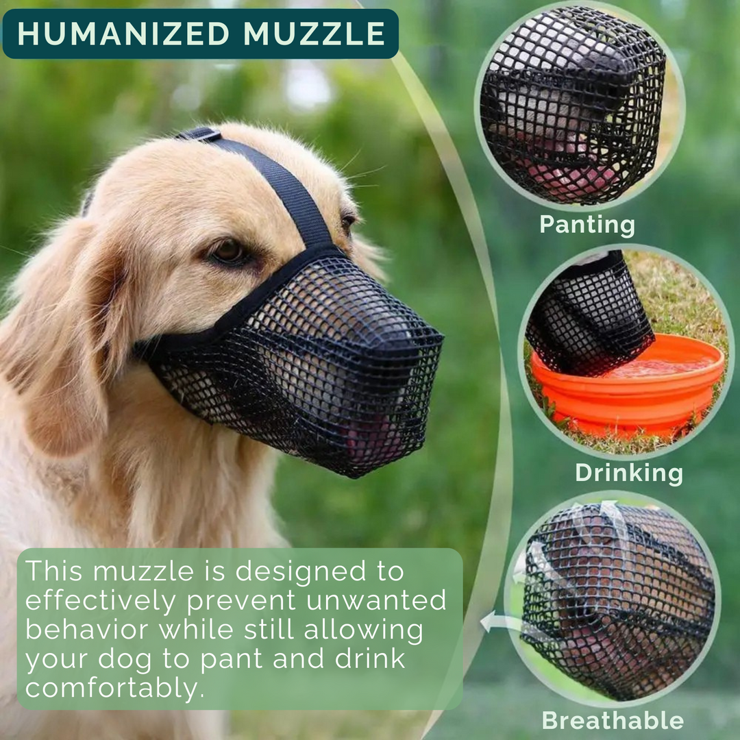 Soft AirMesh dog muzzle, adjustable for a secure fit. Ensures pet safety, prevents biting & promotes gentle training.