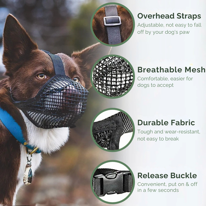 Comfortable AirMesh dog muzzle for all-day wear. Gentle, breathable design for training, anti-bite protection & travel.