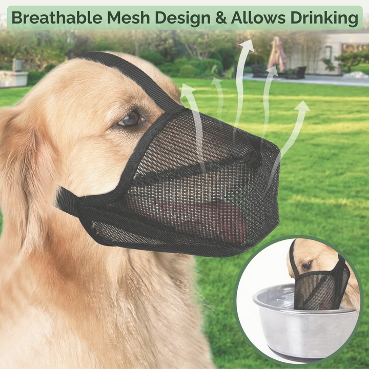 Lightweight AirMesh dog muzzle for gentle, secure use. Breathable fabric ensures pet comfort during walks & training.