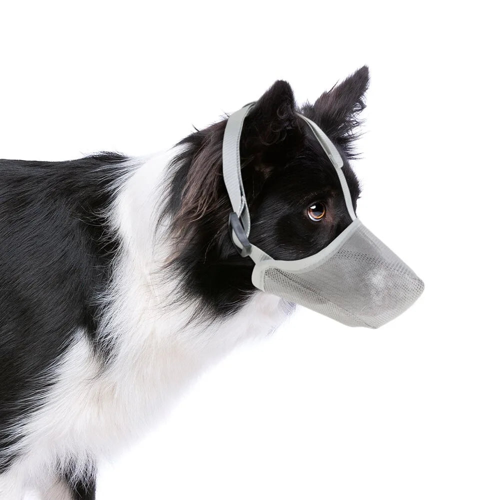 Pet-friendly AirMesh dog muzzle: comfortable, breathable & anti-bite for safe training, grooming & travel.