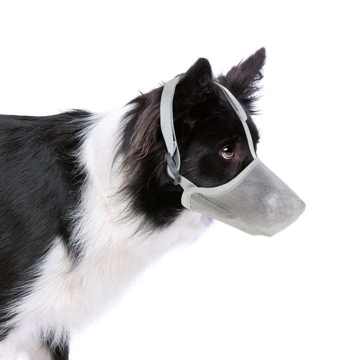 Pet-friendly AirMesh dog muzzle: comfortable, breathable & anti-bite for safe training, grooming & travel.