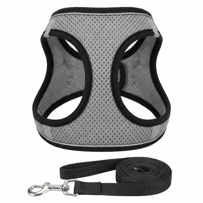 Lightweight mesh breathable cat harness, designed for ultimate comfort and safe outdoor adventures for cats.