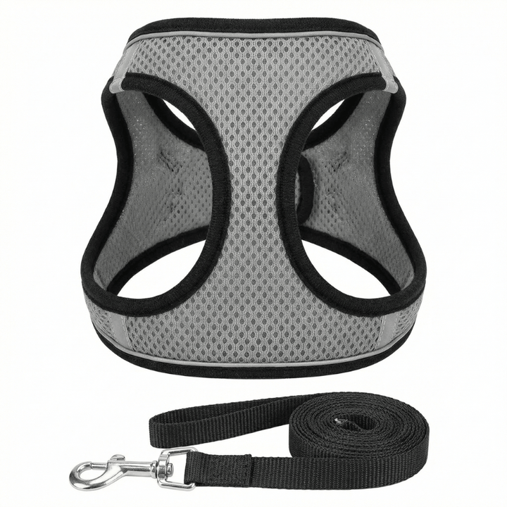 Lightweight mesh breathable cat harness, designed for ultimate comfort and safe outdoor adventures for cats.