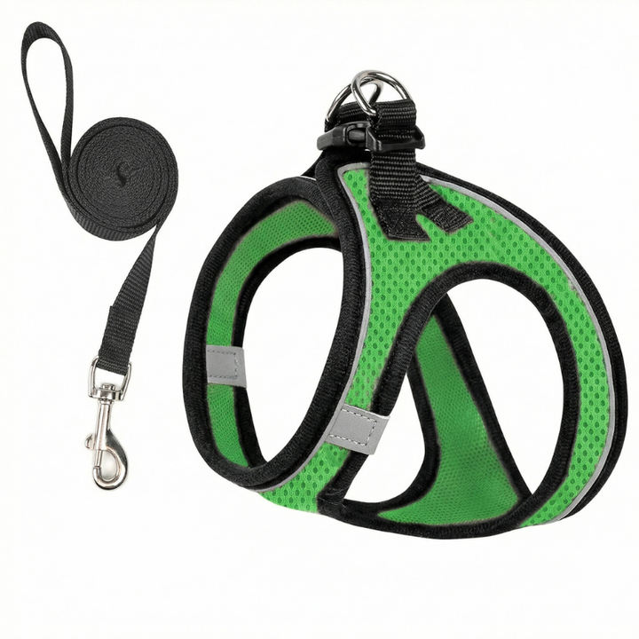 Adjustable cat harness providing a secure, comfortable, and escape-proof fit for all outdoor feline adventures.