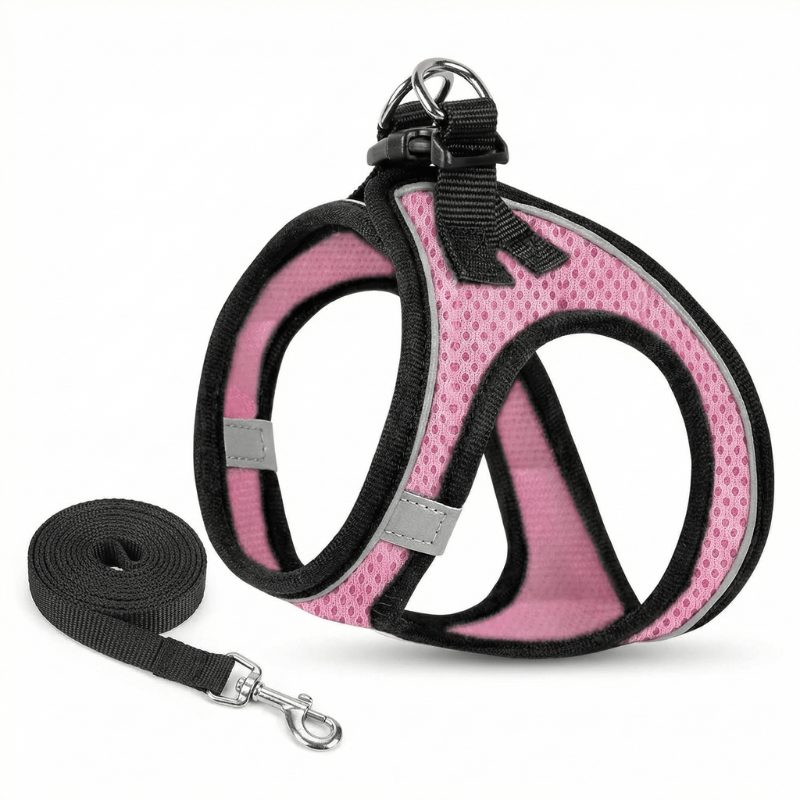Durable outdoor cat harness, breathable and reflective for safe, comfortable walks and adventures with your pet.
