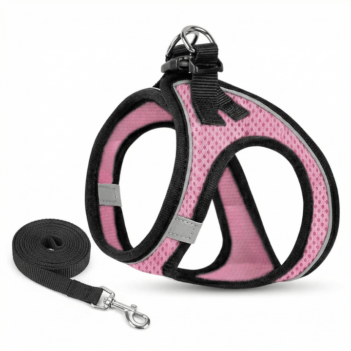 Durable outdoor cat harness, breathable and reflective for safe, comfortable walks and adventures with your pet.