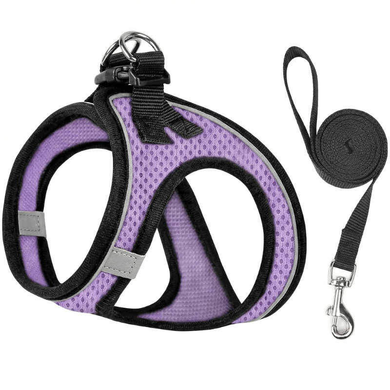 Comfortable, breathable cat harness with reflective accents for secure, safe outdoor exploration and walks.
