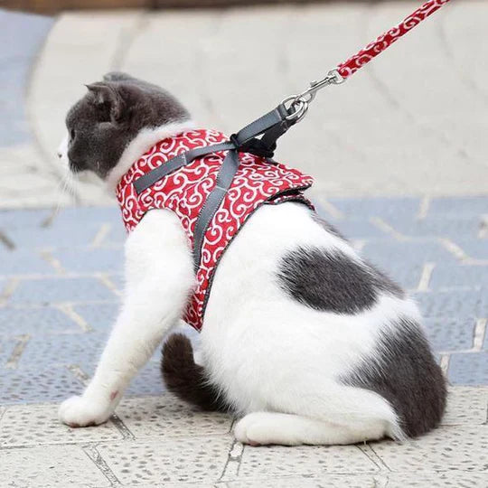 Breathable mesh cat harness & leash for comfortable outdoor walks. Adjustable pet gear for feline safety.
