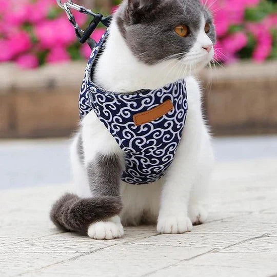Soft mesh cat harness & leash for small cats. Perfect breathable pet gear for comfortable walks.