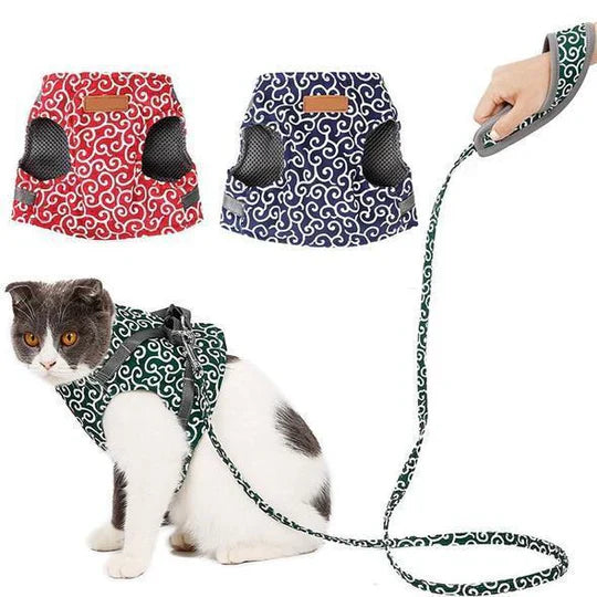 Essential outdoor cat gear: a durable, breathable pet harness with lead for safe and happy walks.
