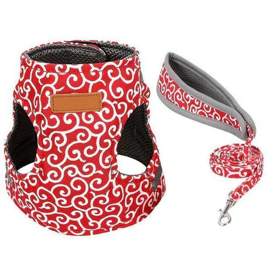 Adjustable cat safety harness and matching leash. Ideal for training and safe outdoor exploration.