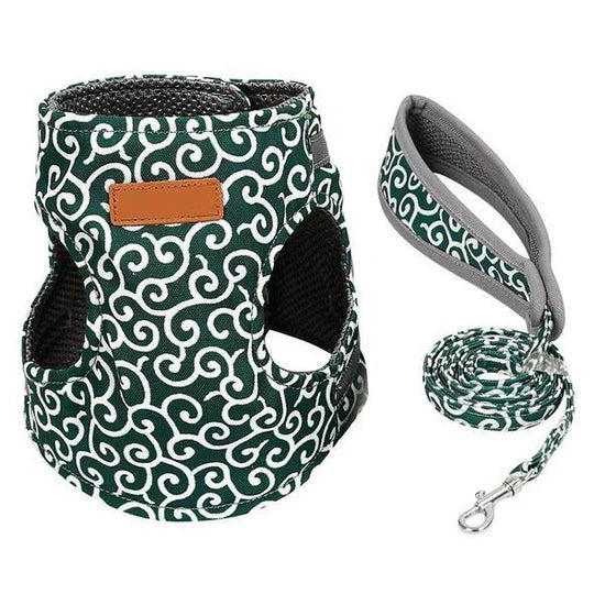 Comfortable breathable mesh cat harness with durable leash for daily outdoor walks and adventures.