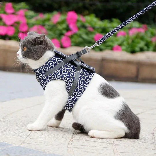 Ergonomic breathable cat harness for walking. Includes a durable pet leash, ensuring cat safety.