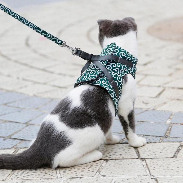 High-quality adjustable cat harness and leash set, designed for comfortable and safe outdoor cat walks.